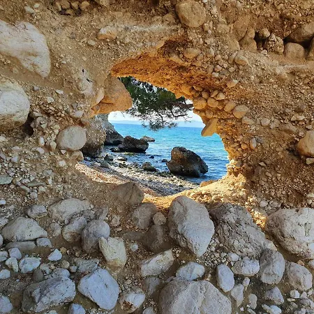 Dora * ماكارسكا