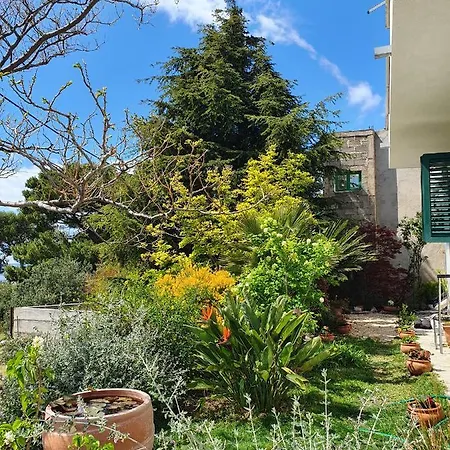 Dora شقة ماكارسكا