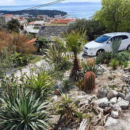 Dora 마카르스카