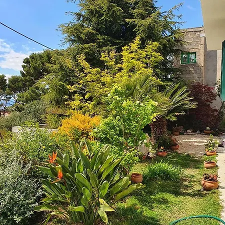 Dora Apartament Makarska