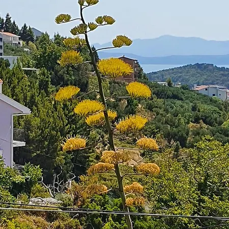 Appartement Dora