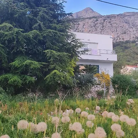 Dora Apartament *