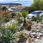 Dora Makarska