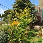 Dora Lägenhet Makarska