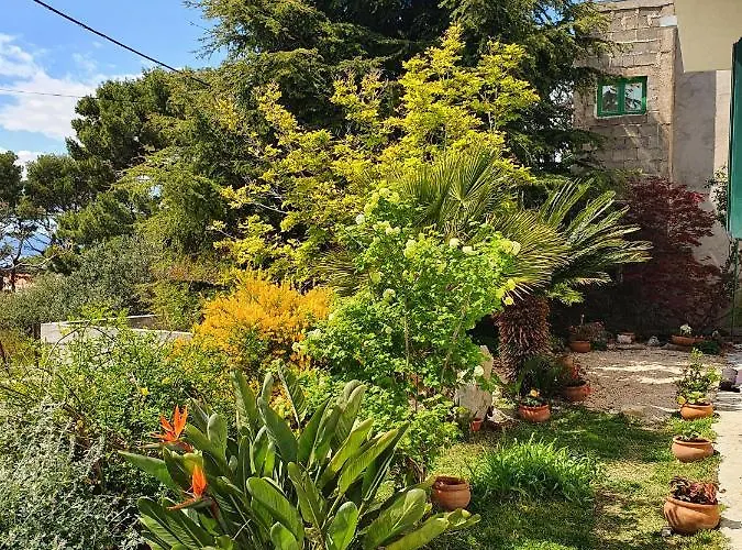 Dora Lägenhet Makarska